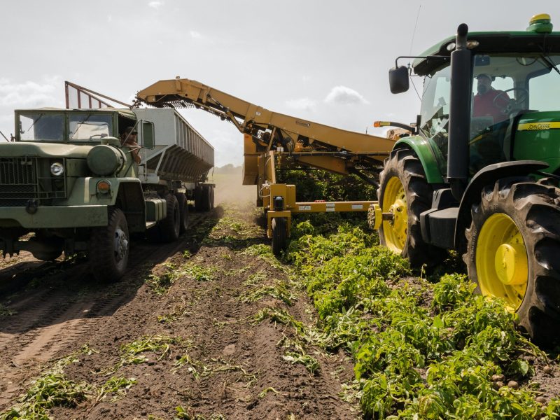 pexels-mark-stebnicki-2255801 agriculture recruitment